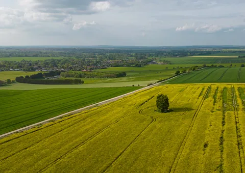 Blewbury Fields, Oxfordshire
