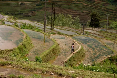 Walking the rice paddies, Cat Cat, Sapa