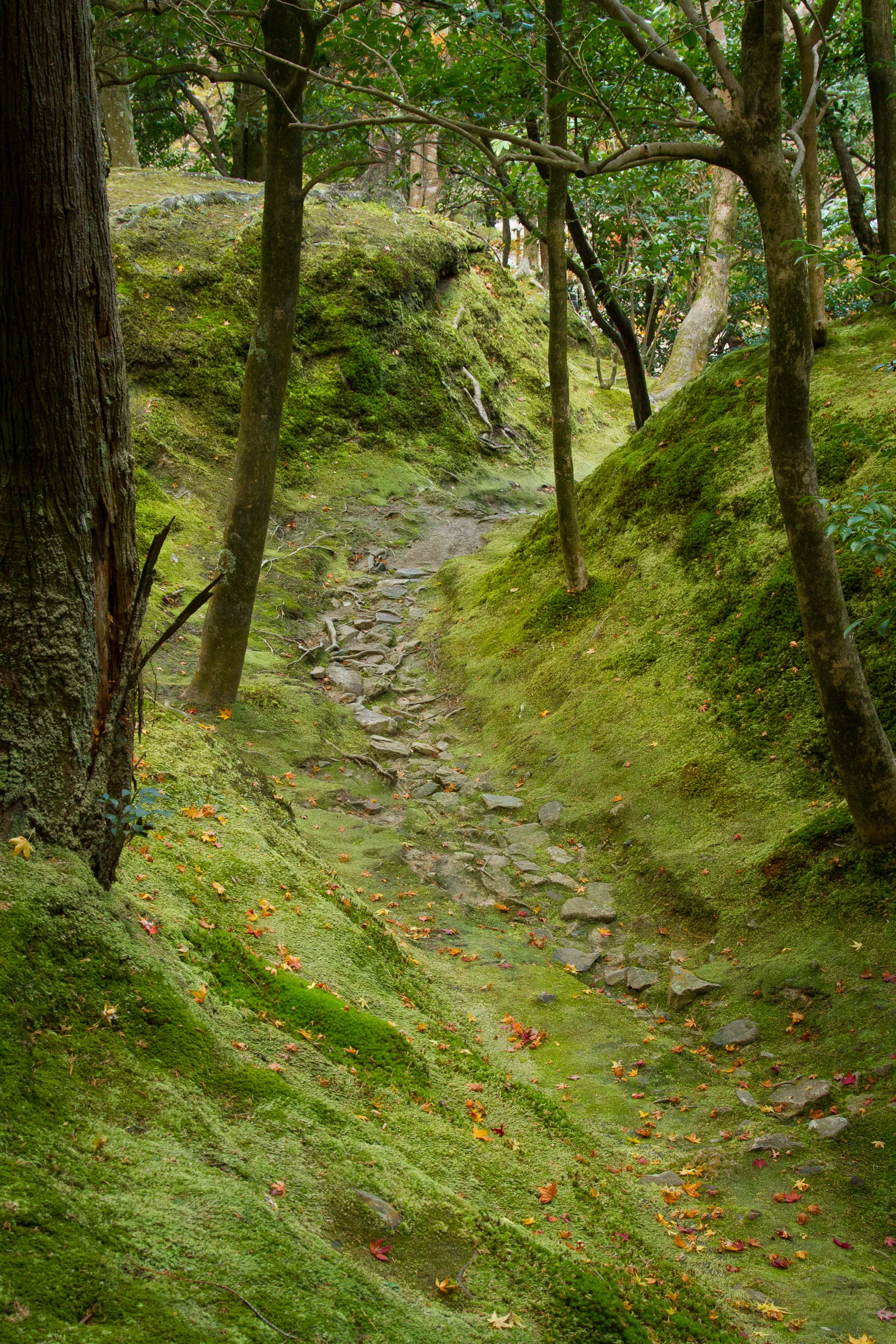 Dry stream bed, garden of the Silver Pavilion, Kyoto