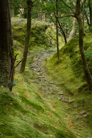 Dry stream bed, garden of the Silver Pavilion, Kyoto