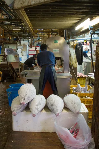 Frozen tuna waiting to be sawn apart, Tsukiji Fish Market