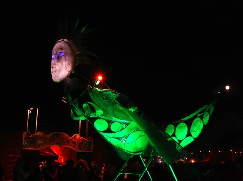 Human-faced insect-buggy, Cabaret Field
