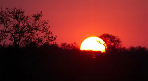 Kruger Park Sunset