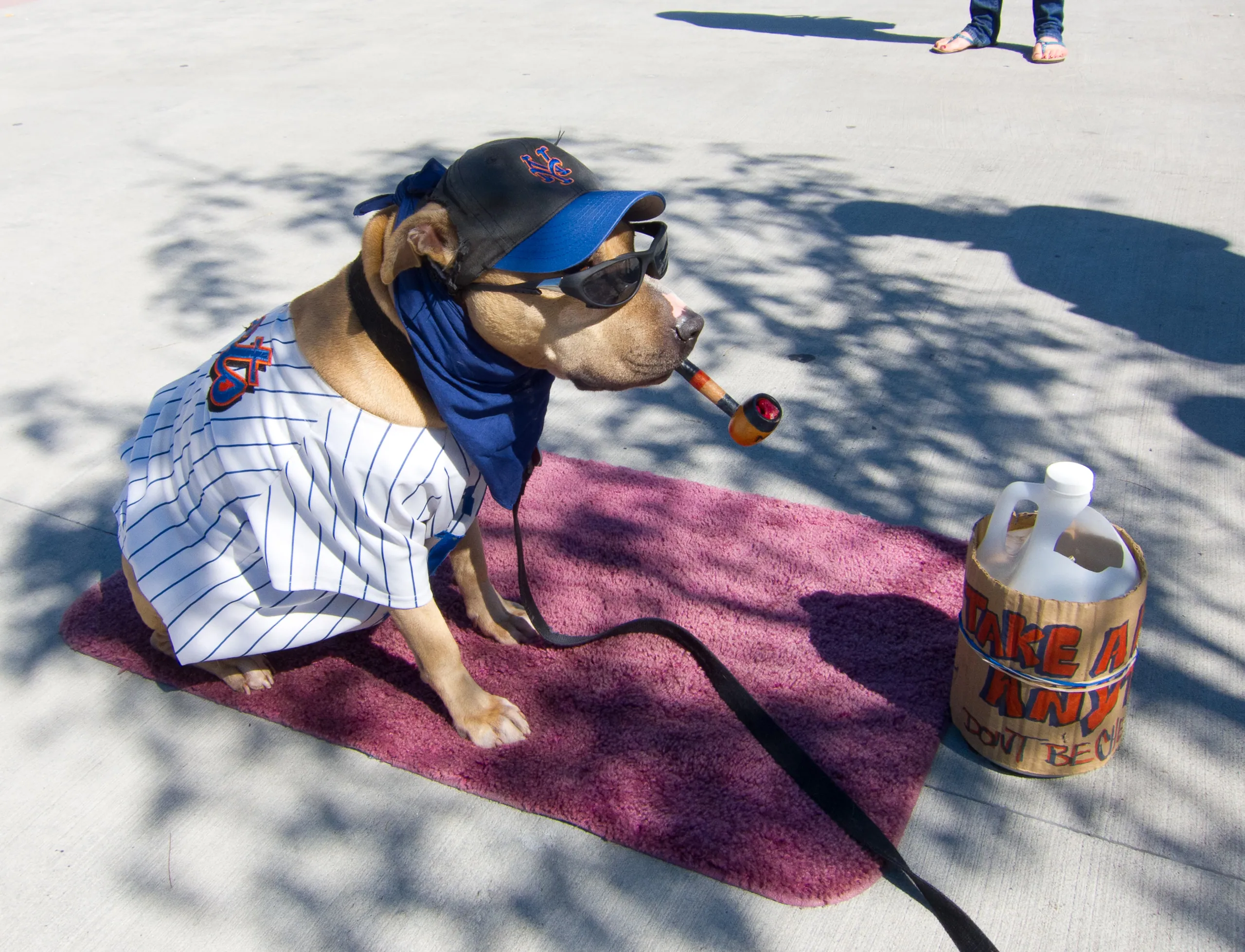 Mets Fan outside Citi Field