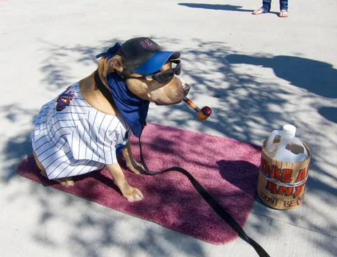 Mets Fan outside Citi Field