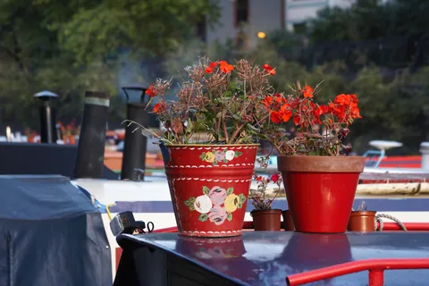 Canal Boat Flowers, Regents Canal