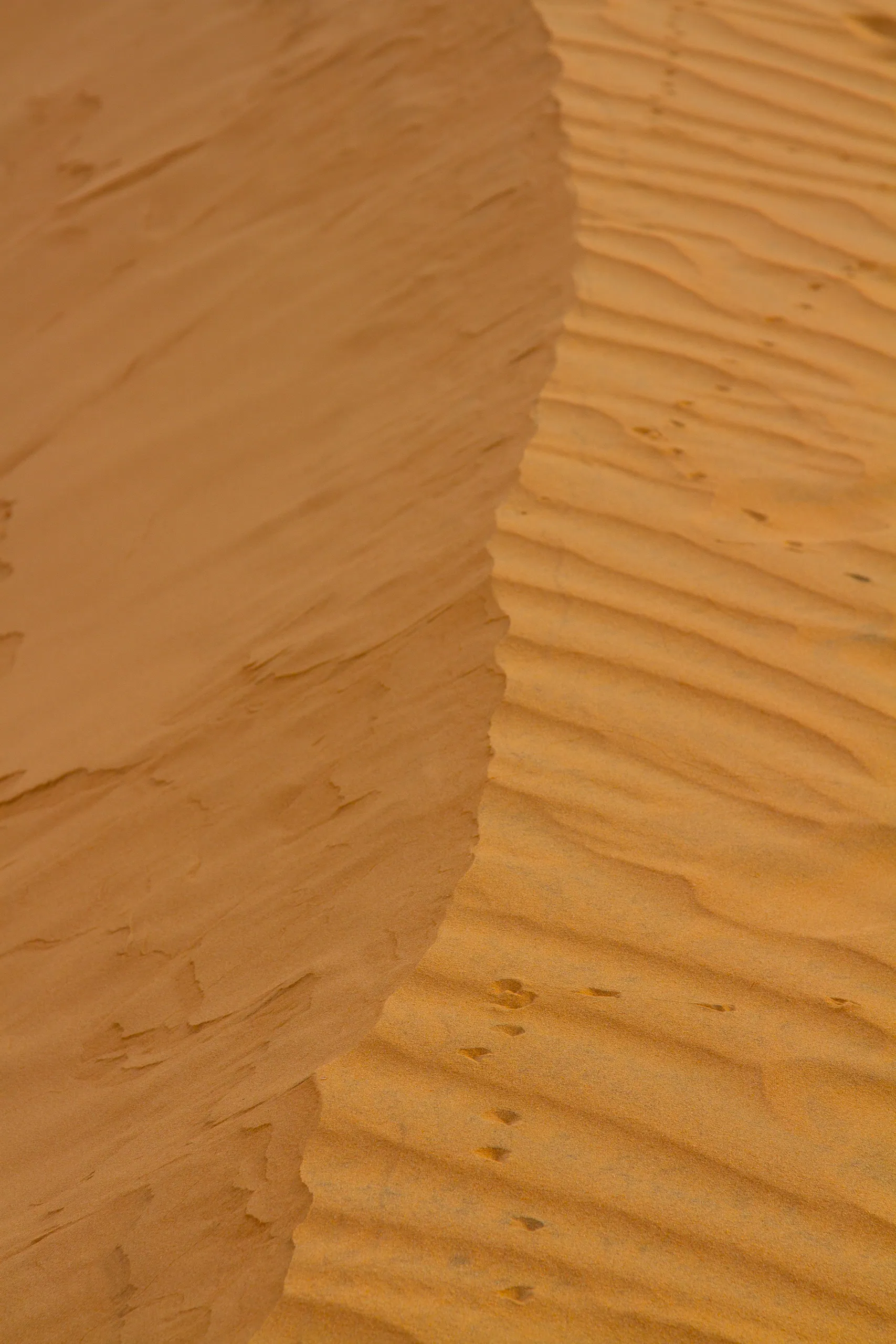 Red Sand Dunes, Mui Ne