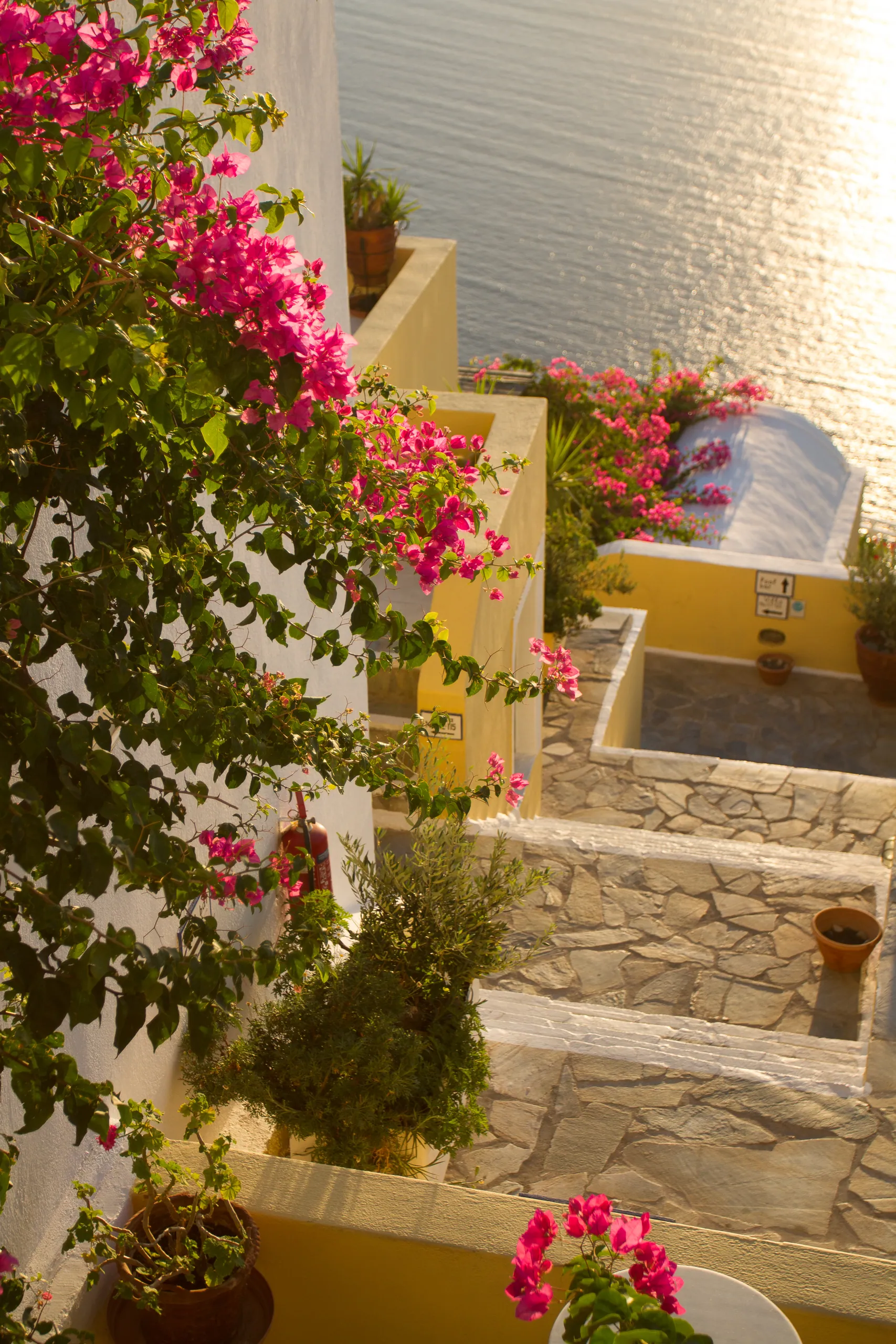 Bougainvilla, Firostefani, Santorini