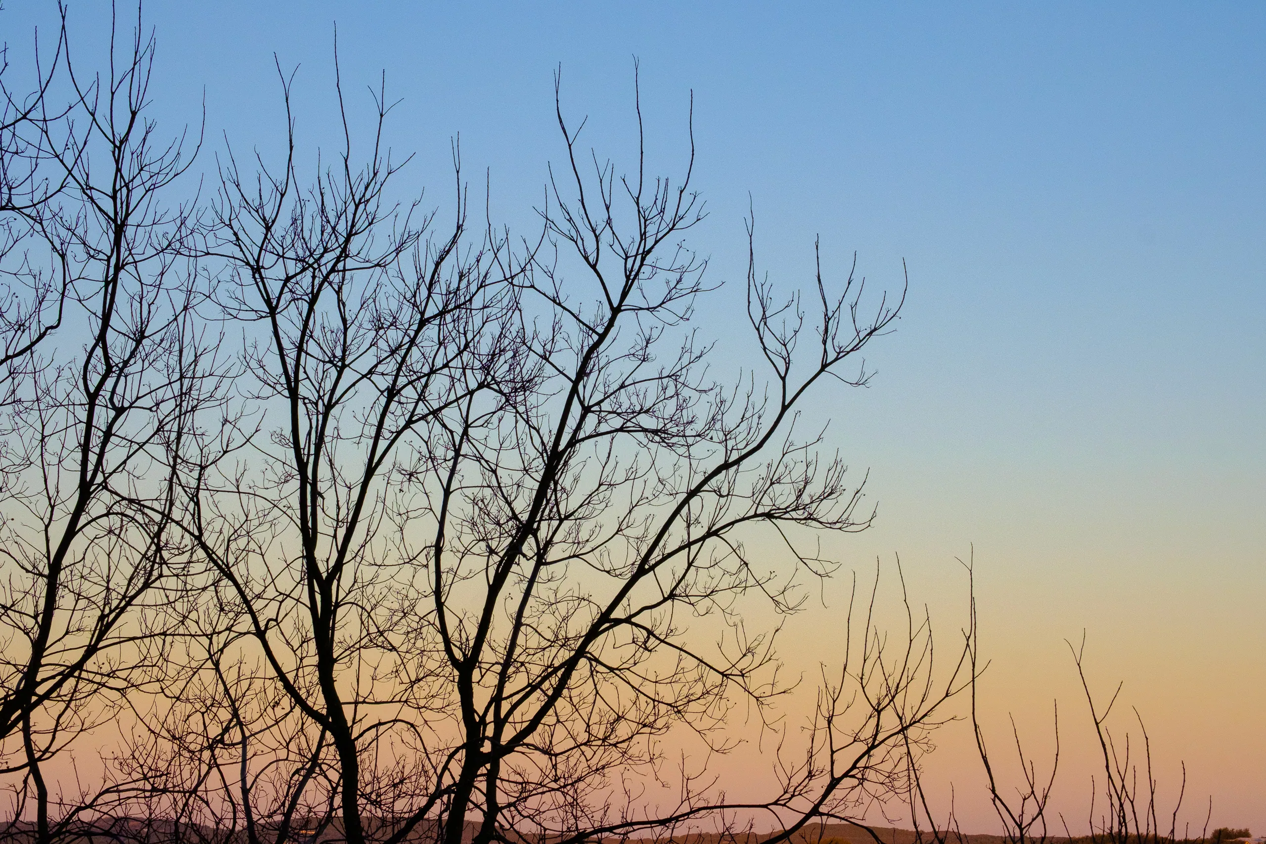 Winter Sunrise, Lake Travis
