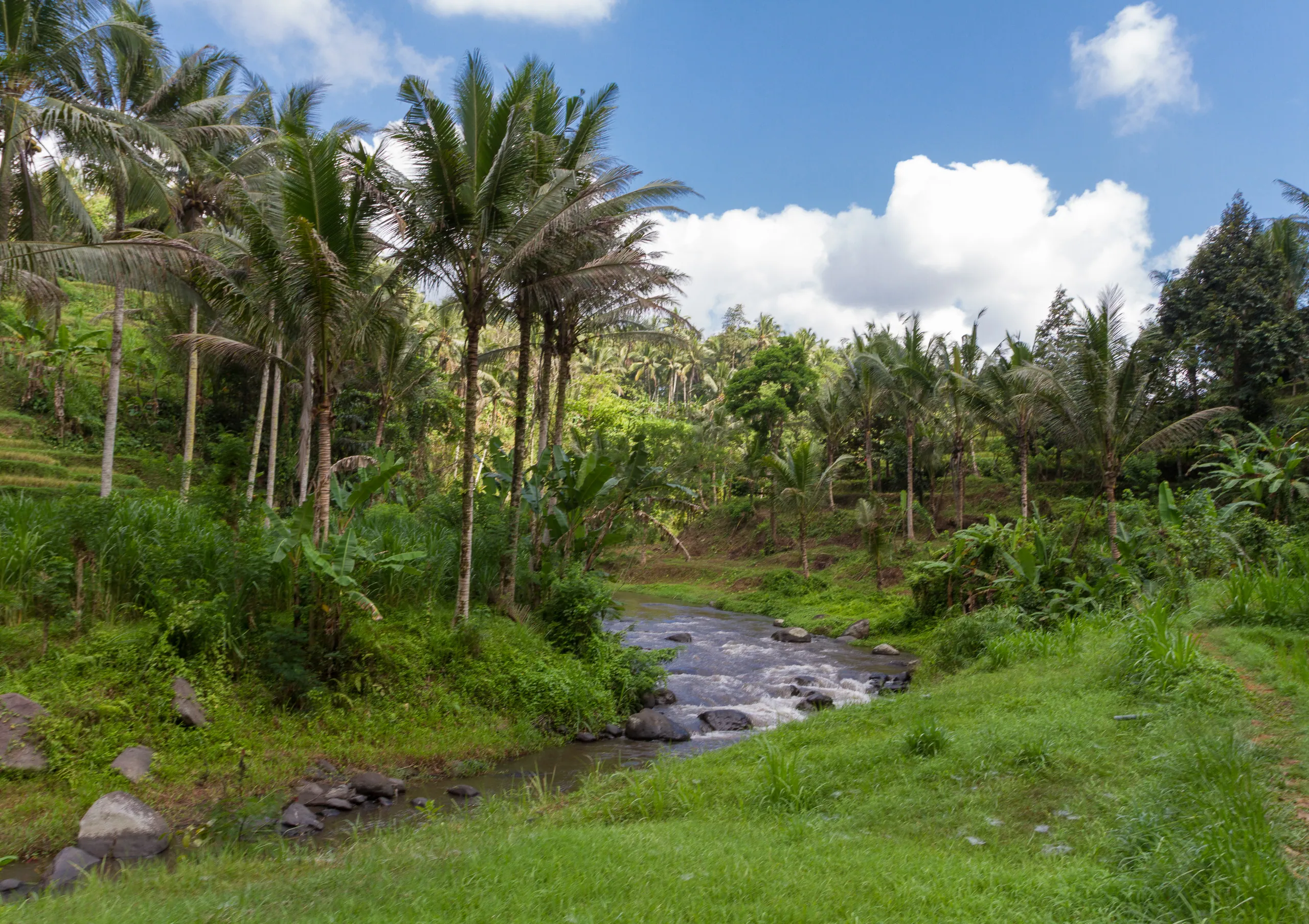 Sayan River View