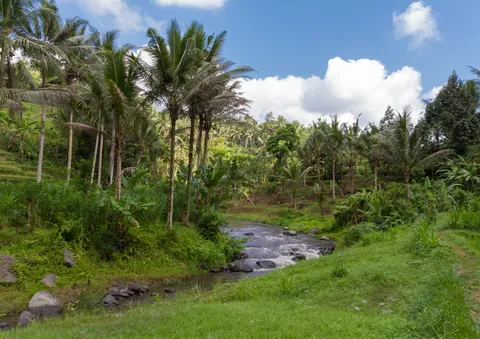Sayan River View