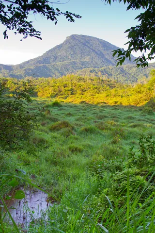 Countryside around My Son, near Hoi An