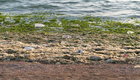 Jeddah Corniche Scenes