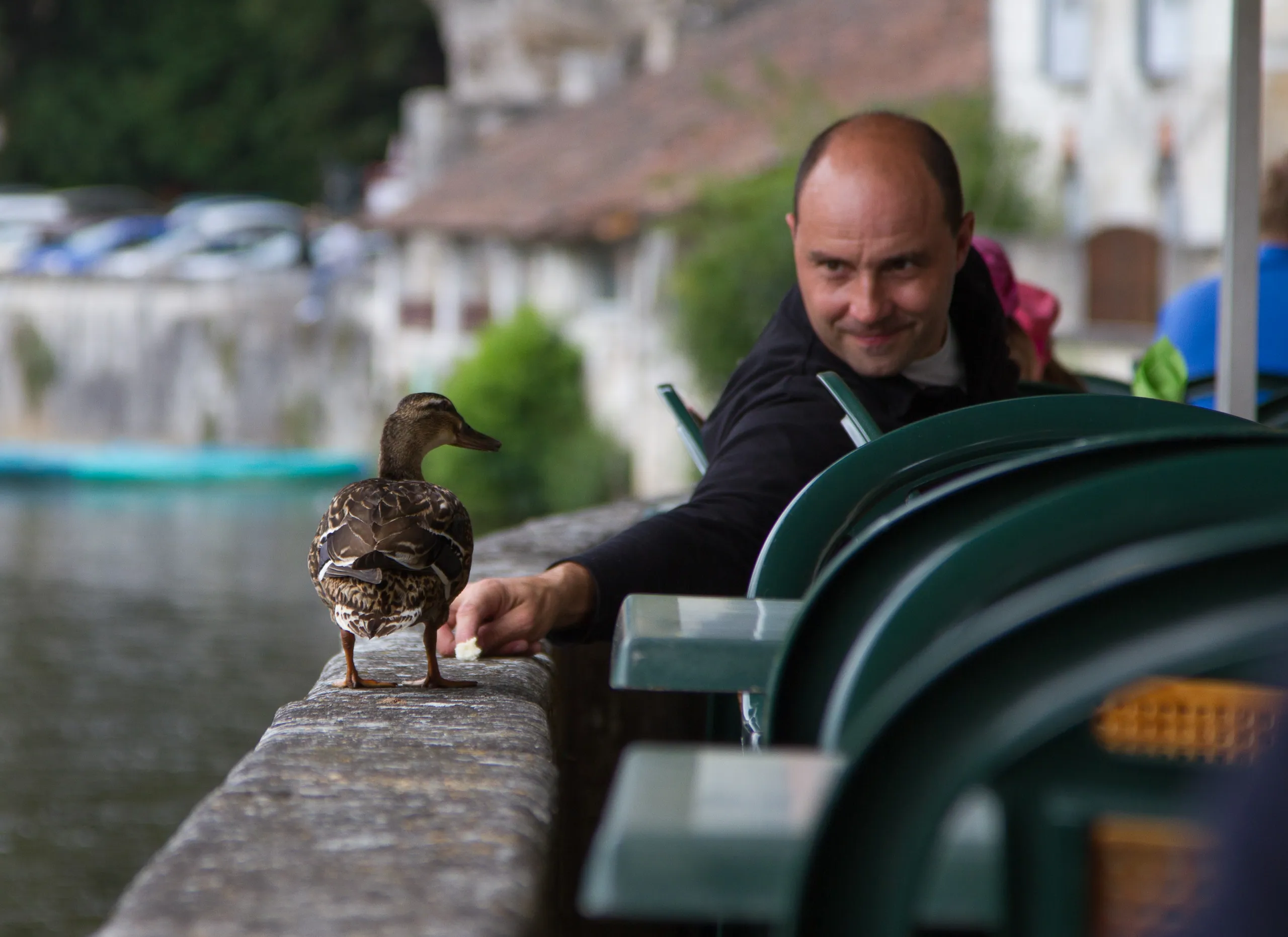 Hungry Ducks of Brantome