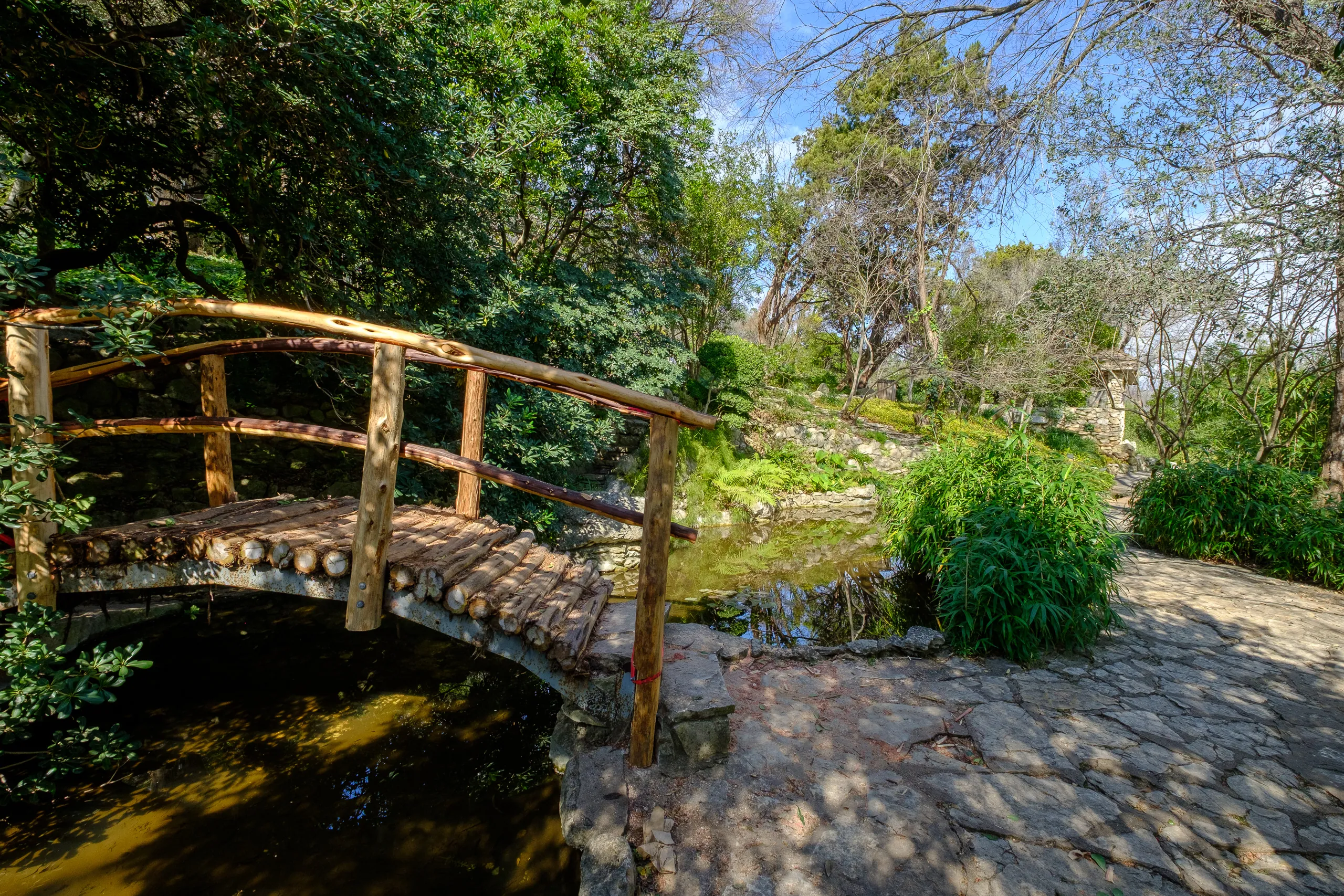 Zilker Botanical Gardes, Austin