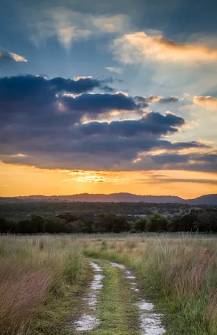 Canyon Wren Ranch - Sunset over Ranch Road
