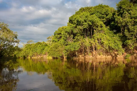 Rio Yacuma at Dusk