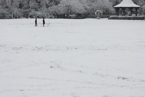 Snow Fun in Paddington Rec