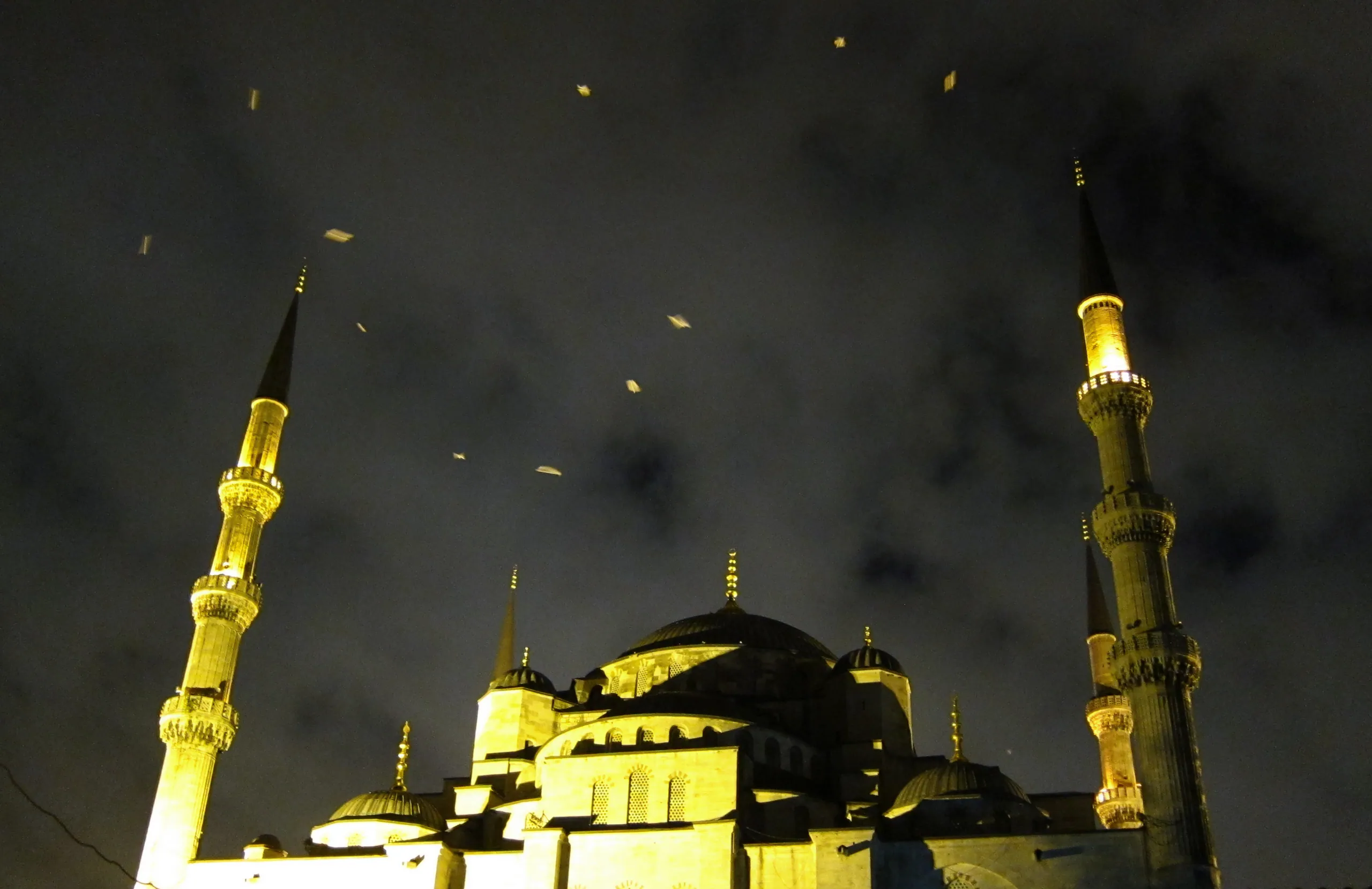 Blue Mosque and Seagulls