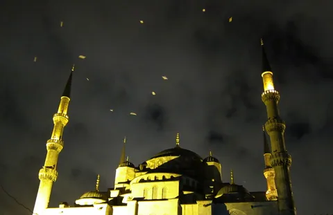 Blue Mosque and Seagulls