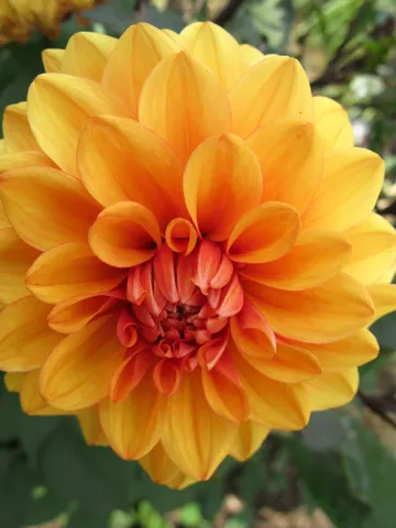 Oxford Botanic Gardens