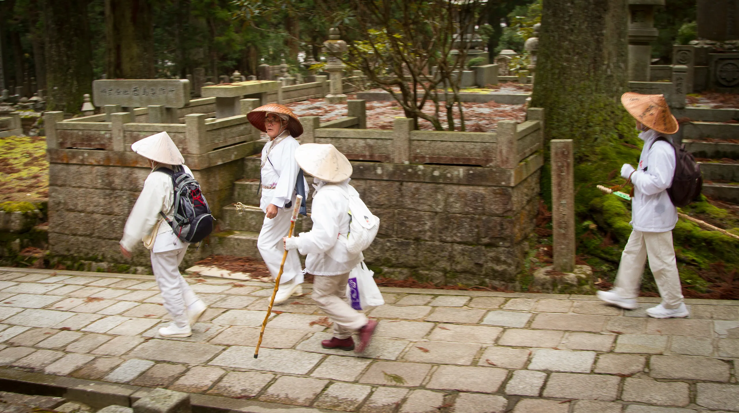 Shingon Buddhist pilgrims, Oku-no-in Cemetery, Koya-san