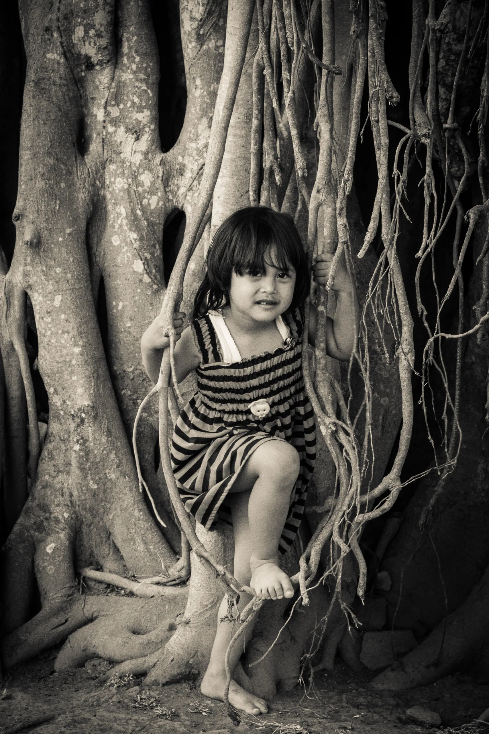 Playing in the Banyan Tree, Mendut Temple, Mungkit
