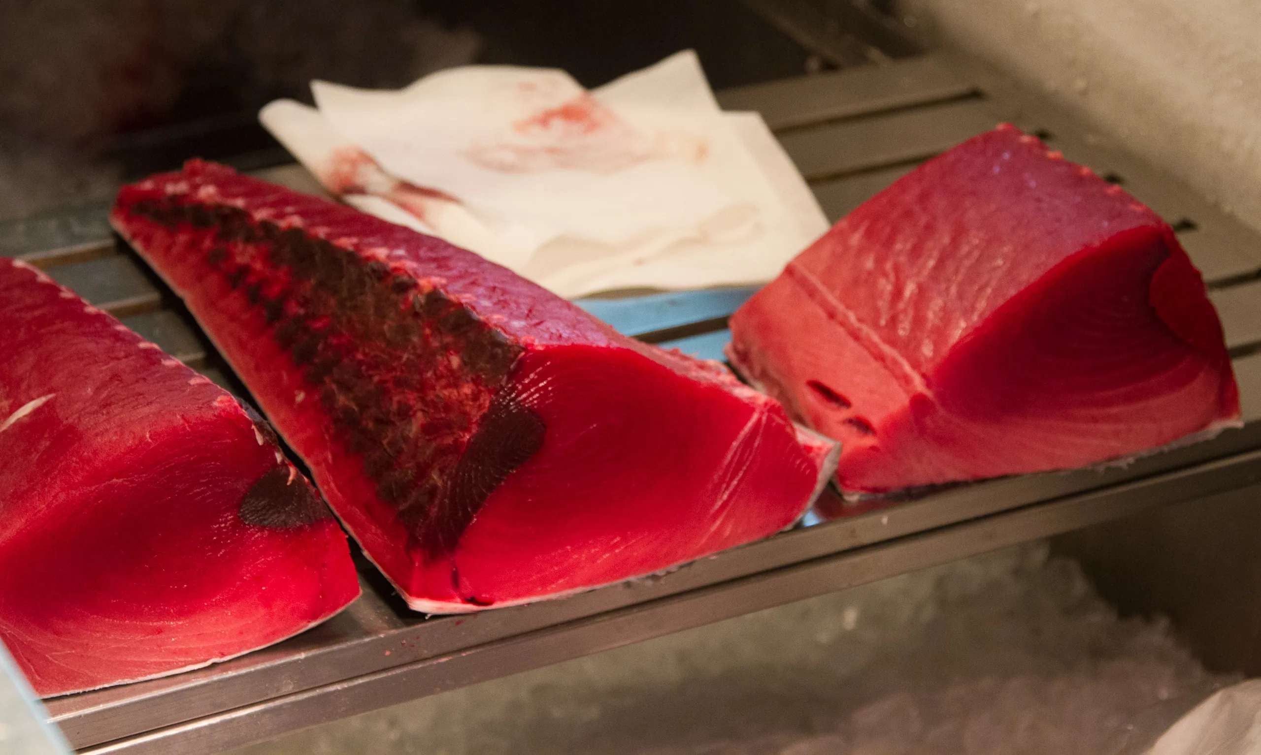 Fresh tuna for sale, Tsukiji Fish Market