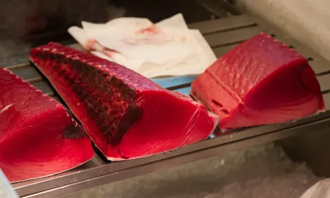 Fresh tuna for sale, Tsukiji Fish Market