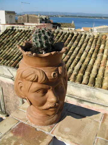 Flower Head - Ortigia, Siracusa, Sicily