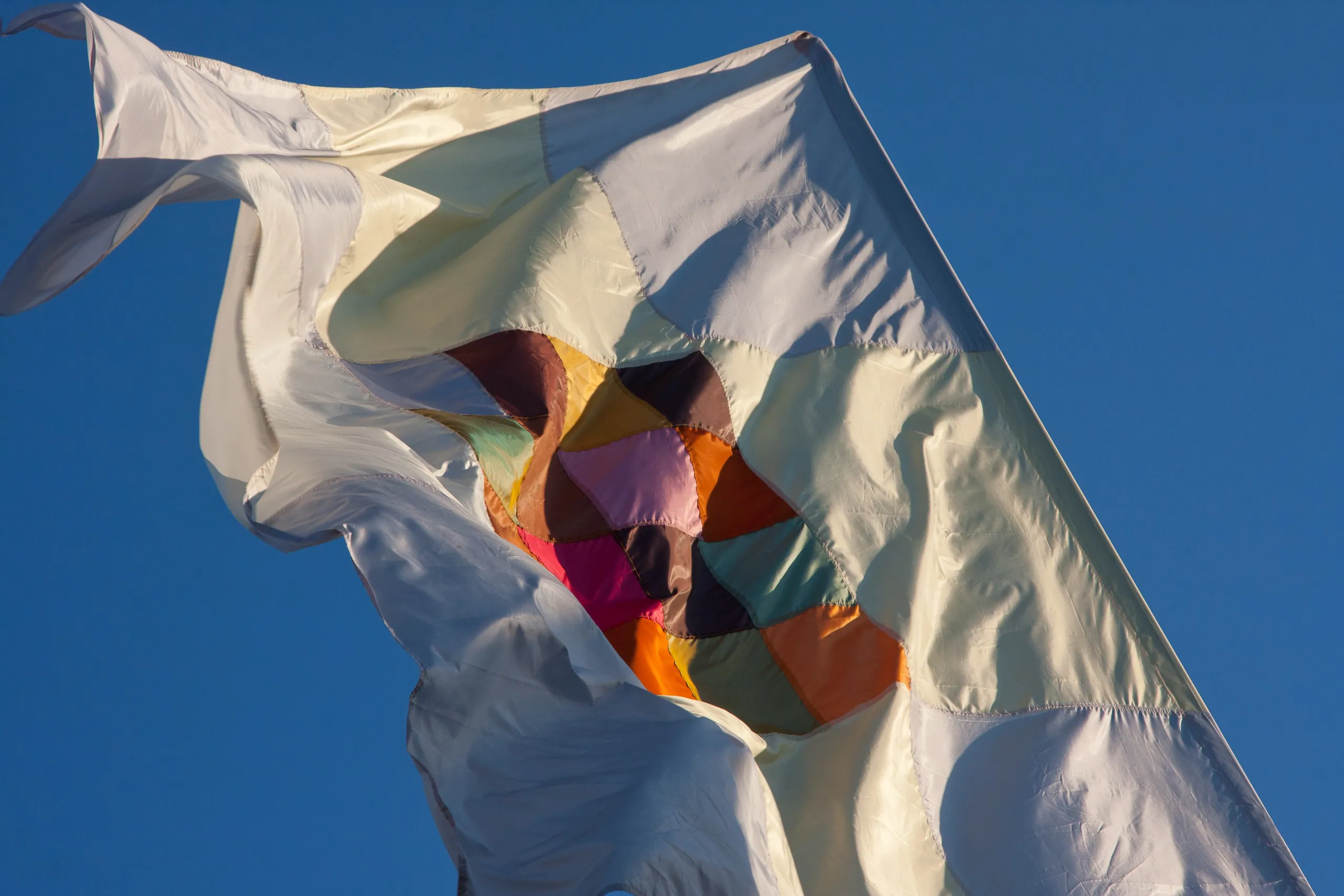 West Holts Flag