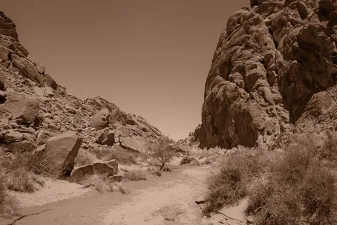 Valley of Fire