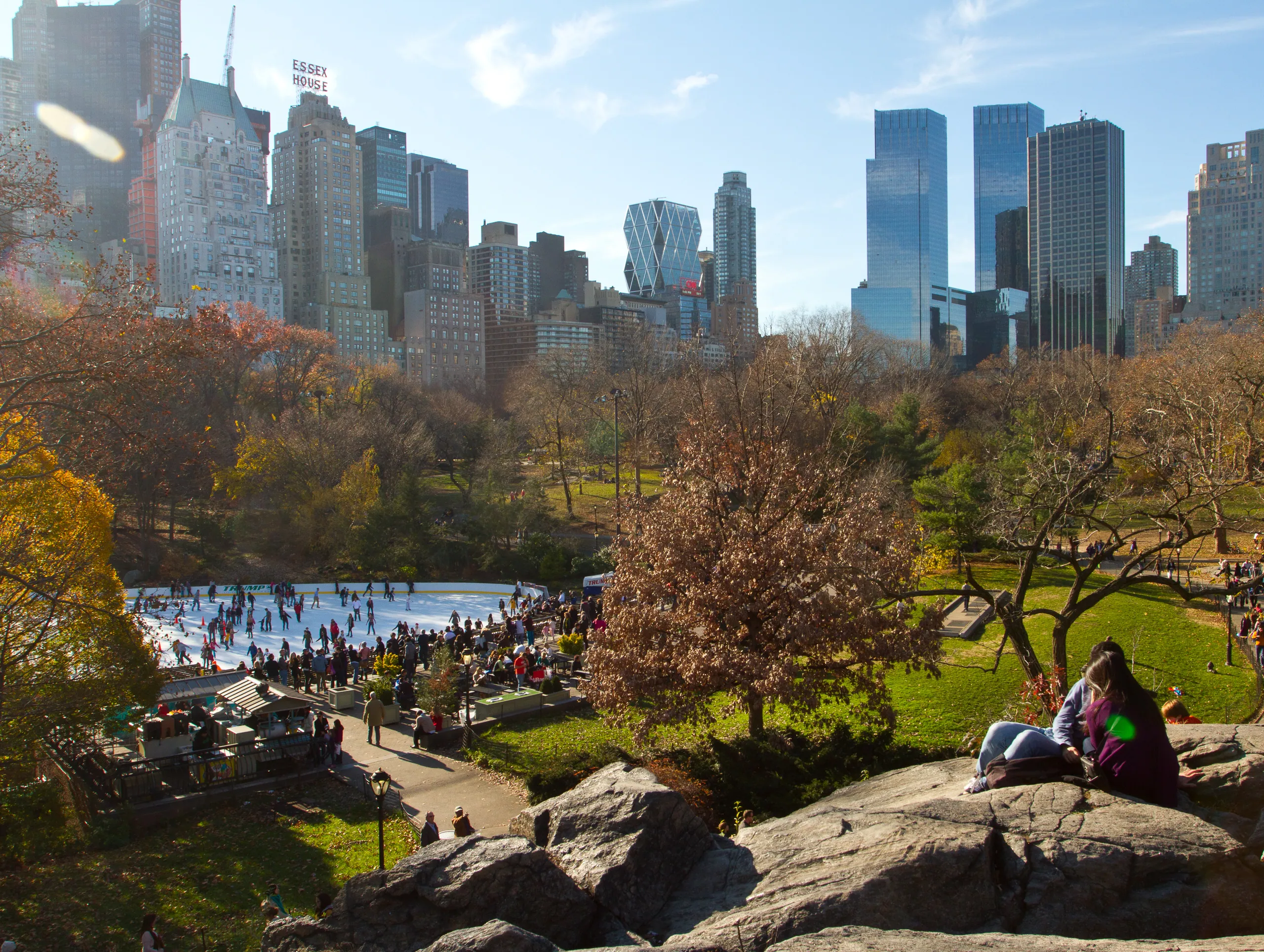 Central Park and Ice Skating Rink