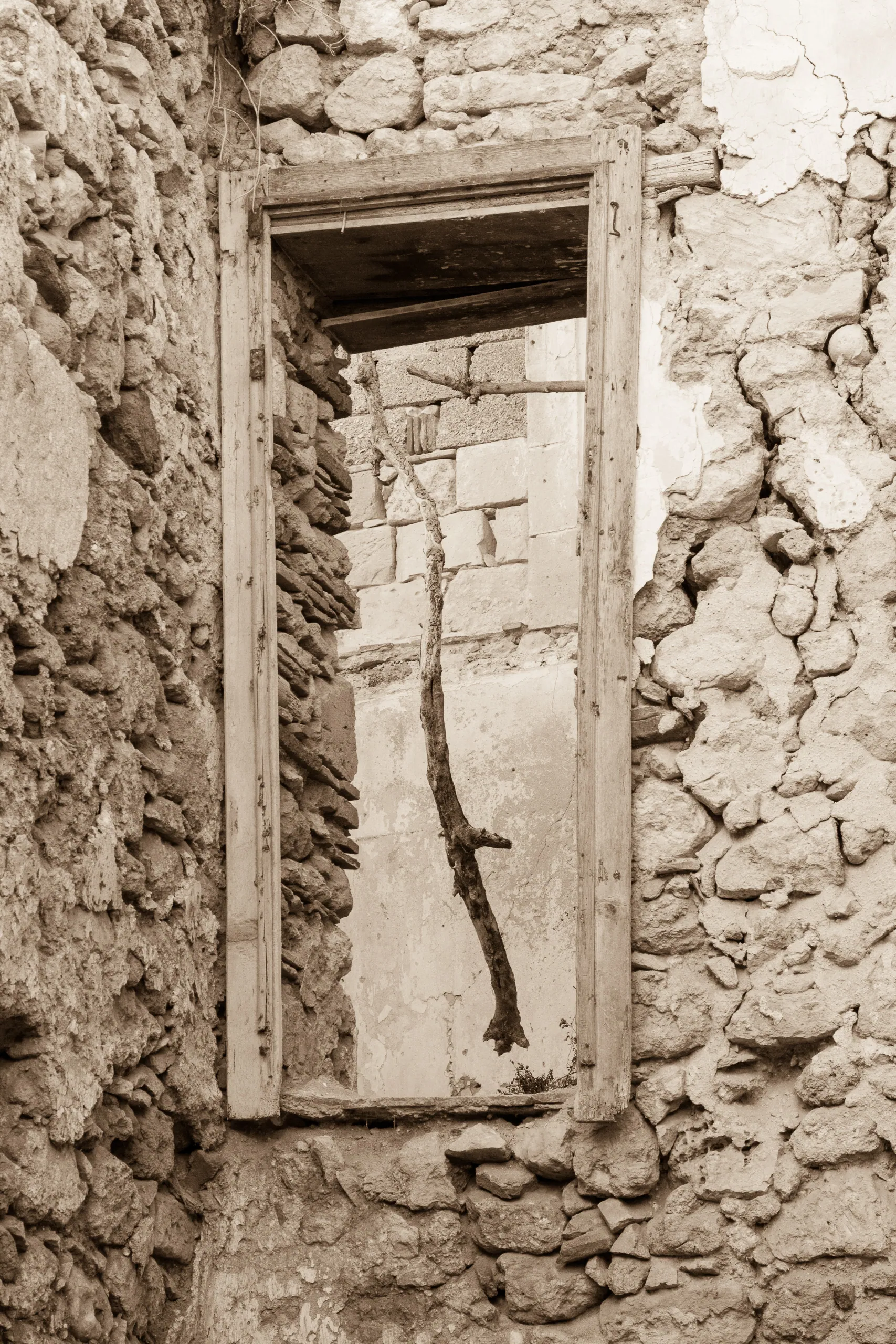 Abandoned Building and Branch, Ortigia, Syracuse