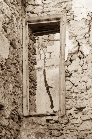 Abandoned Building and Branch, Ortigia, Syracuse