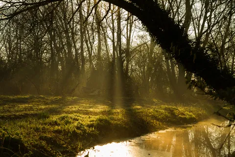 God Rays, Seaton, Wickhambreaux, Kent
