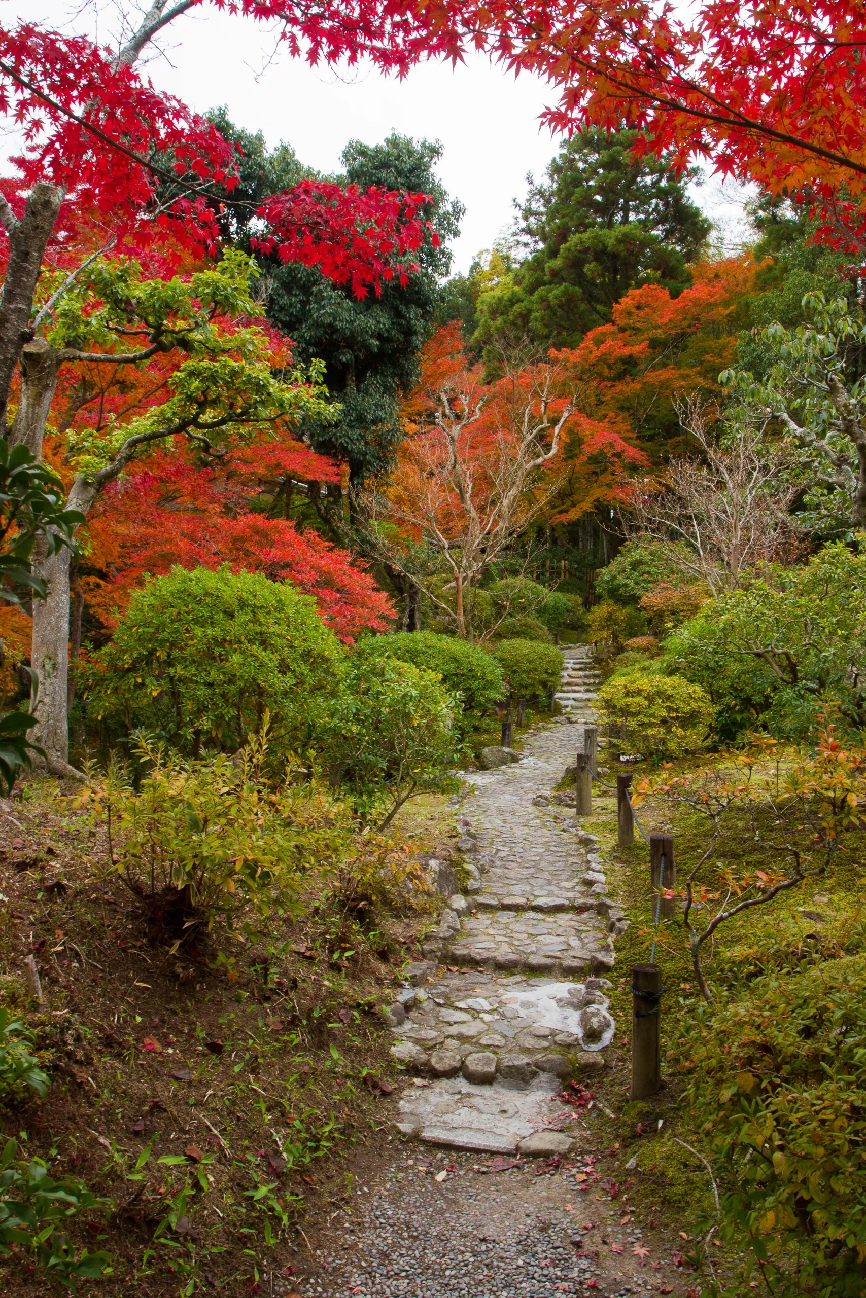 Pathway, Yoshikien Garden, Nara Park