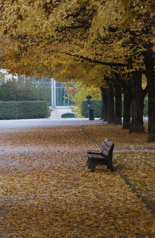 Autumn Colours in the Englischer Garten