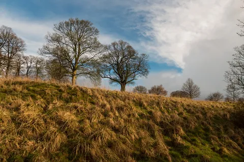 Late afternoon at Buston Wood, nr Pilsley, the Peak District