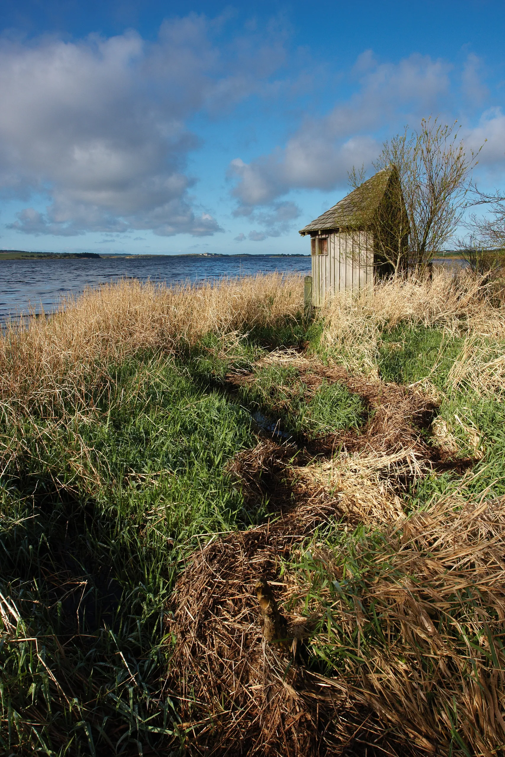 Lakeside Hide, Llya Alaw