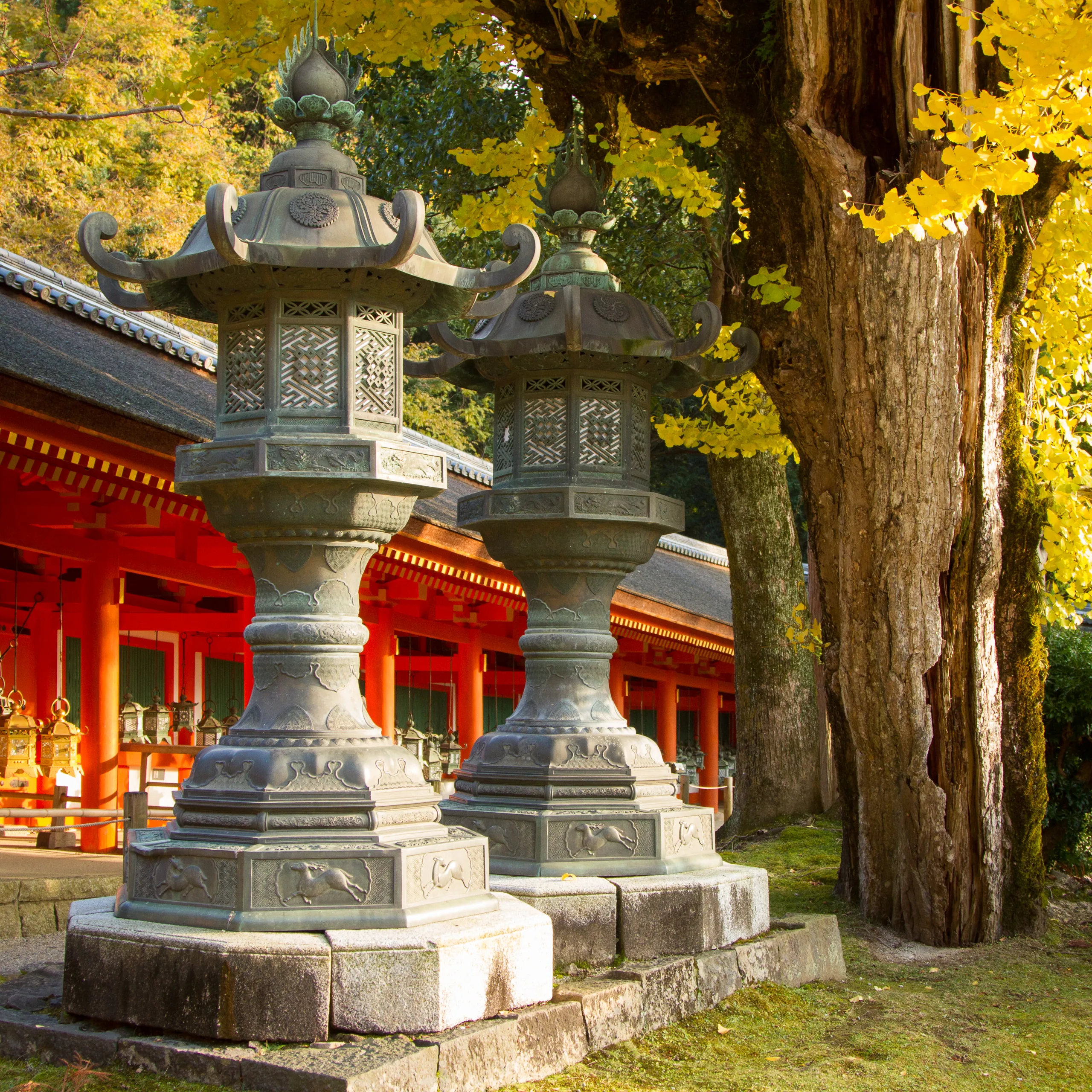 Kasuga Taisha Shrine, Nara Park