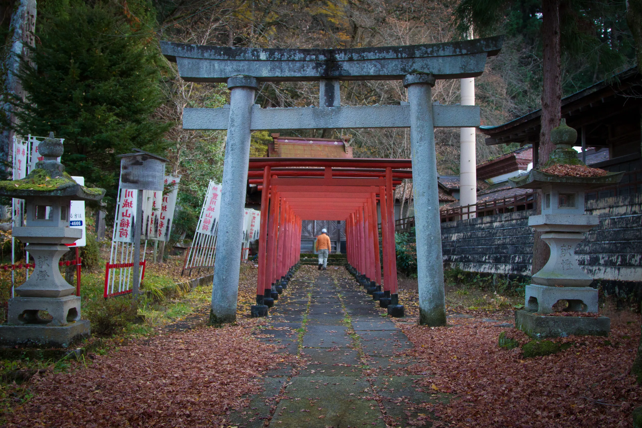 Minor shrine and torii gates, Takayama
