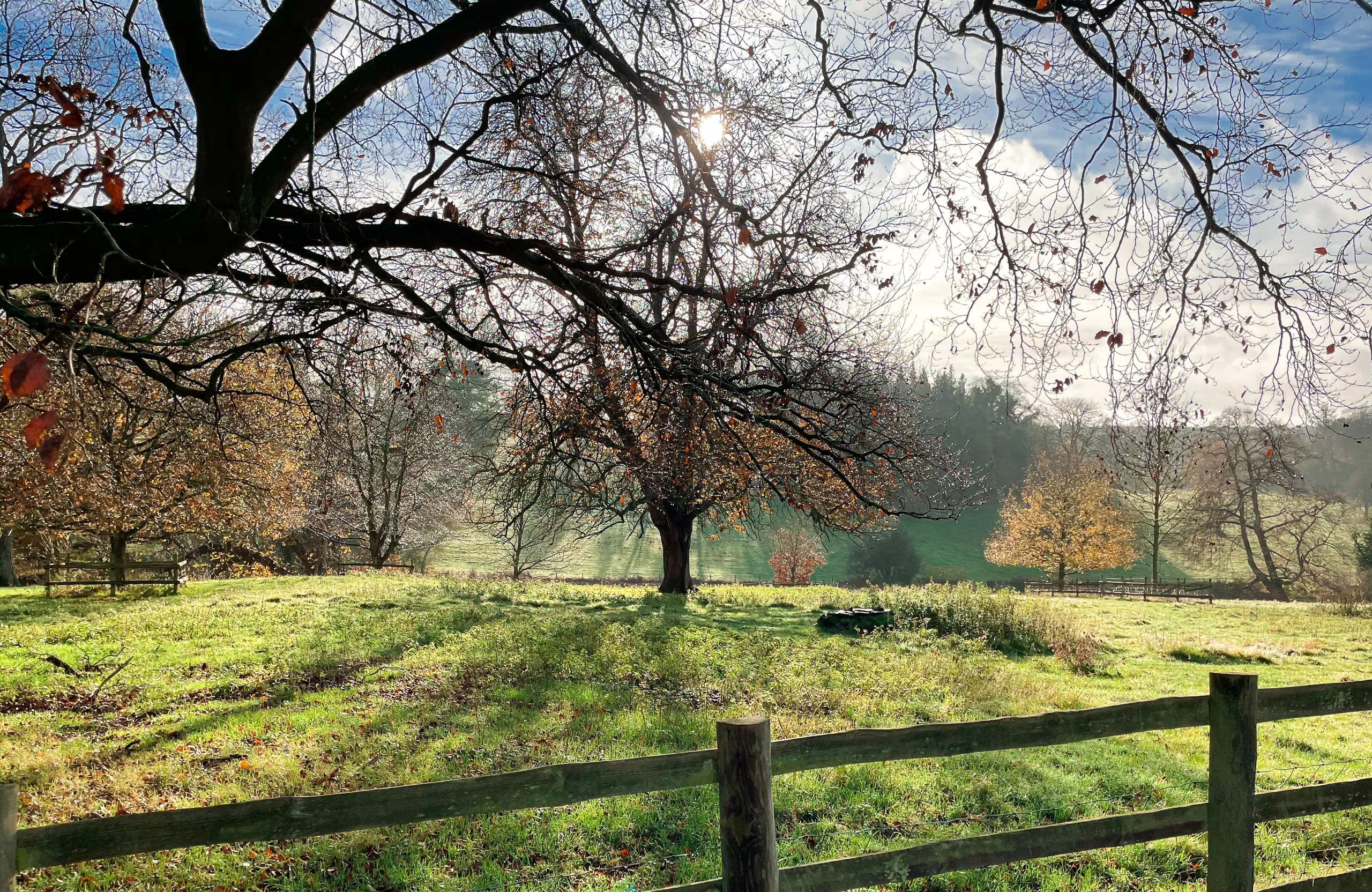 Greys Court