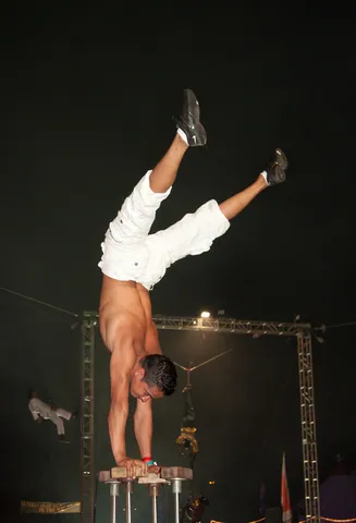 NoFit State performer, The Common