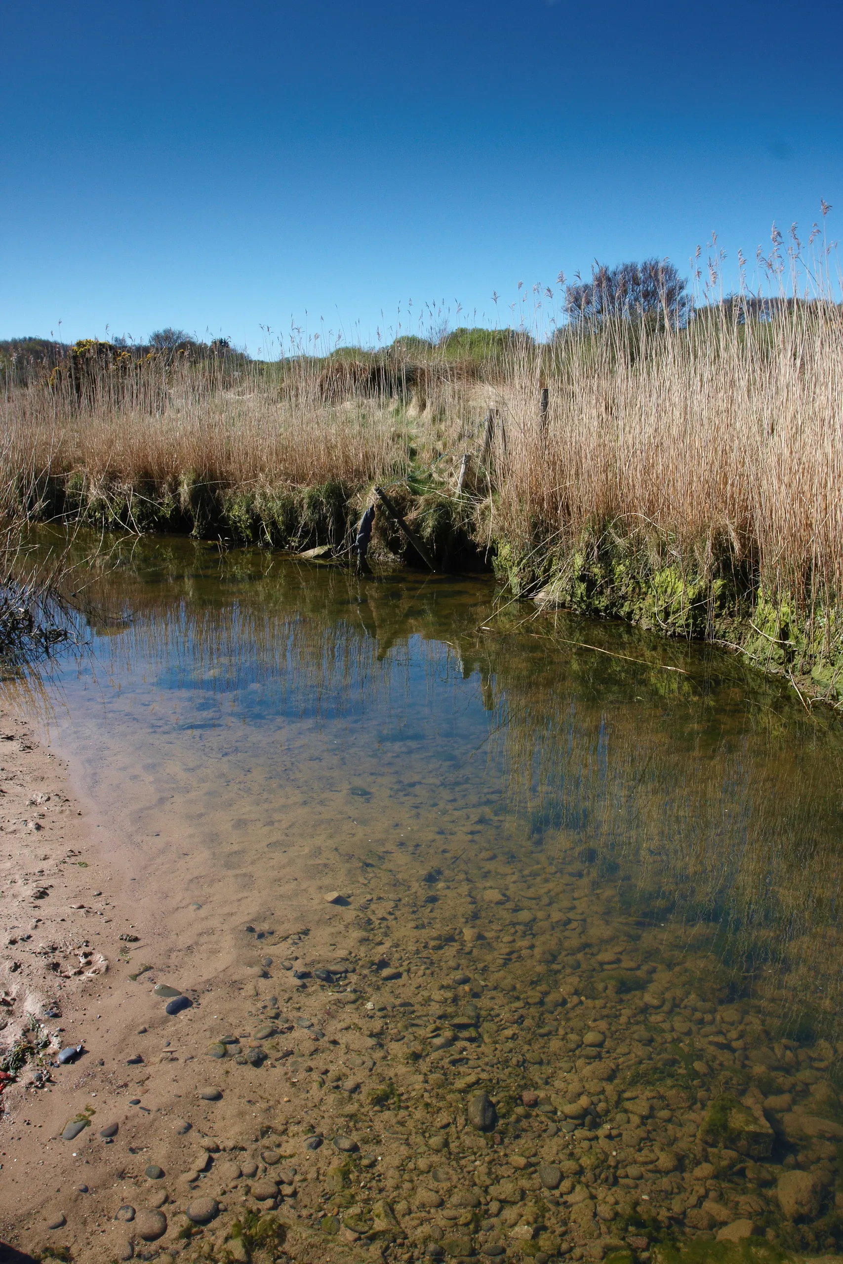 Marshland near Lligwy Bay Beach, Anglesey