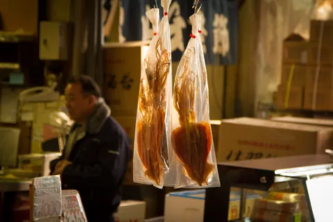 Squid Hanging, Tsukiji Fish Market