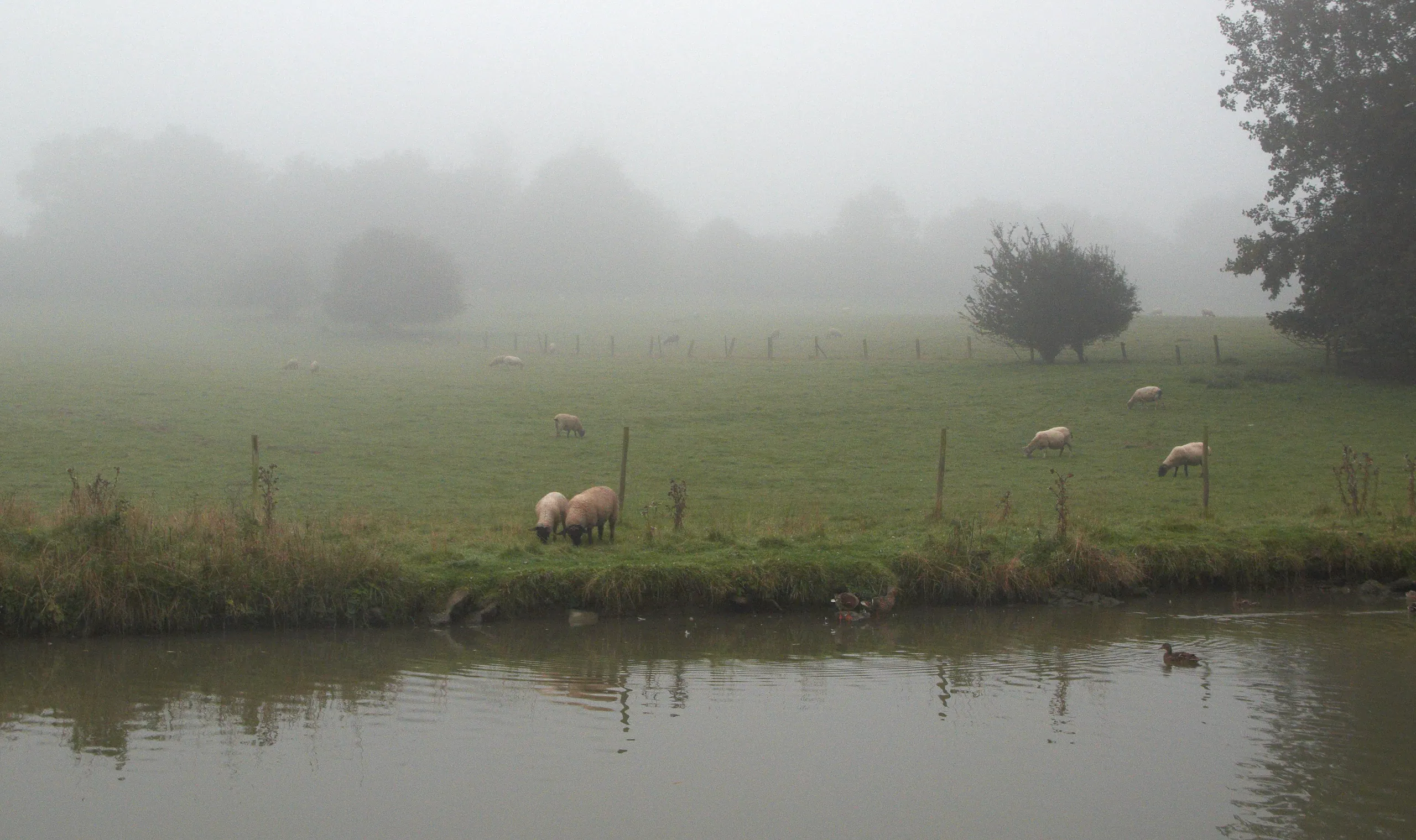 Grand Union Canal, Northamptonshire