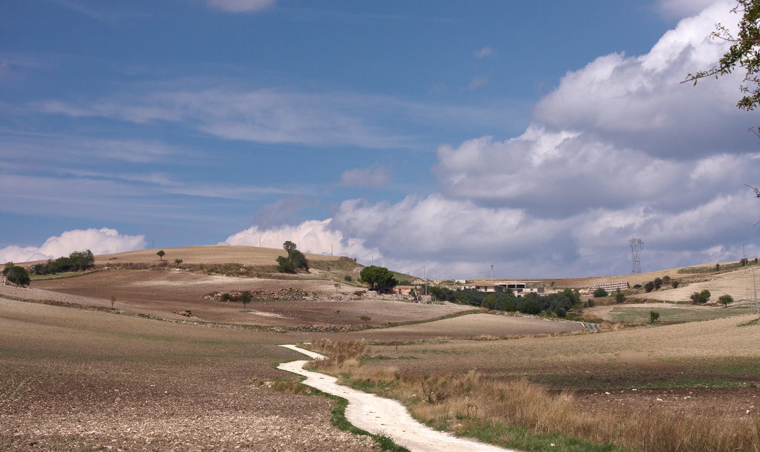 Sicilian Countryside