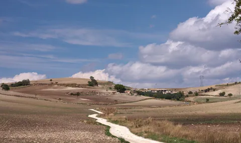 Sicilian Countryside
