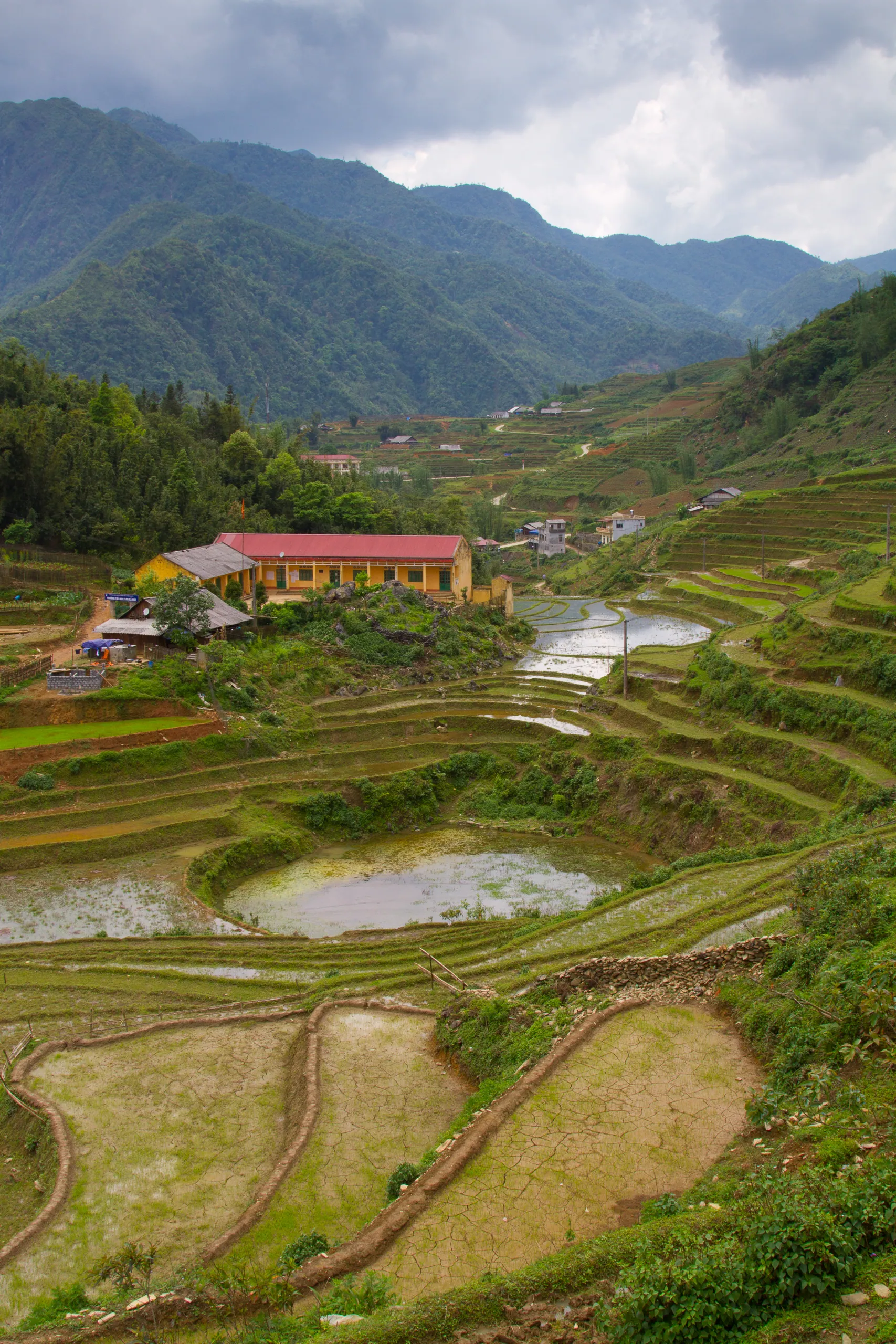 Rice terraces of Cat Cat, Sapa
